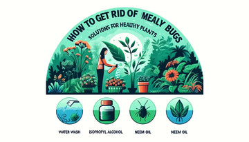 How to Get Rid of Mealy Bugs: Solutions for Healthy Plants