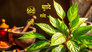 Unlocking the Secrets of Curry Leaves: Exploring Their Ayurvedic Wonders