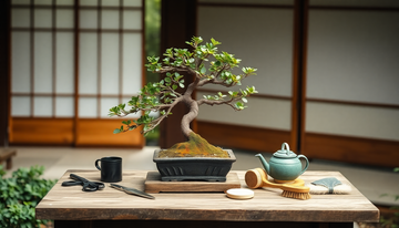 How to Care for Bonsai Trees: A Beginner's Guide