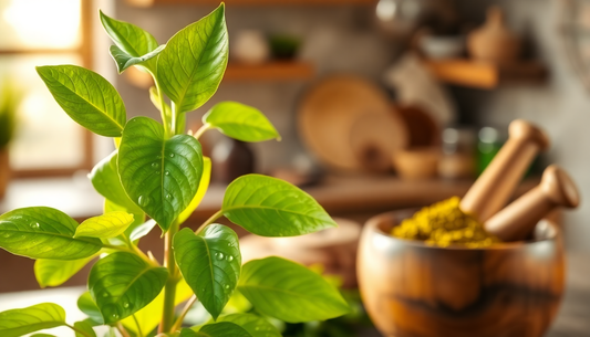 Discover the Healing Power of Curry Leaves: Natural Remedies for Colds and Coughs