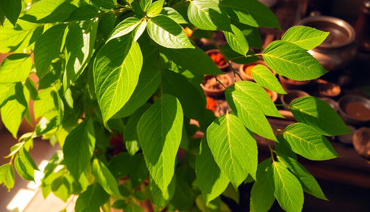 Unlock the Aromatic Secrets of Curry Leaves: A Flavorful Journey