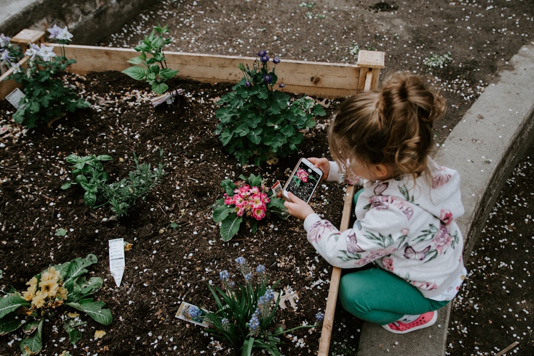 The Vital Role of Humidity in Cultivating Your Indoor Garden