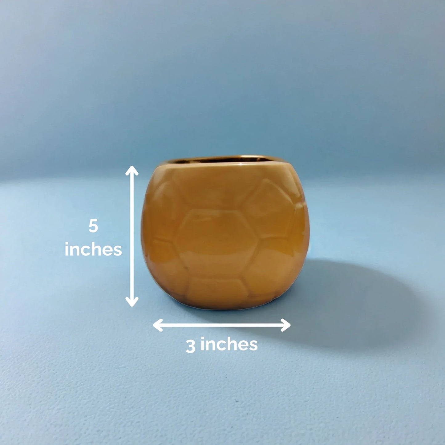 Golden Geometrics (Ceramic Pot)