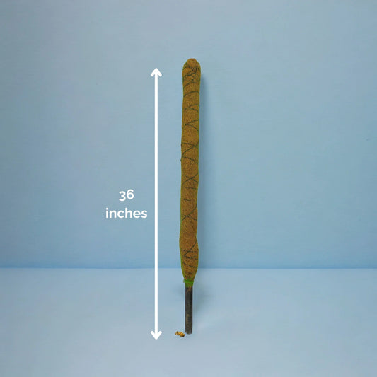 Moss Stick