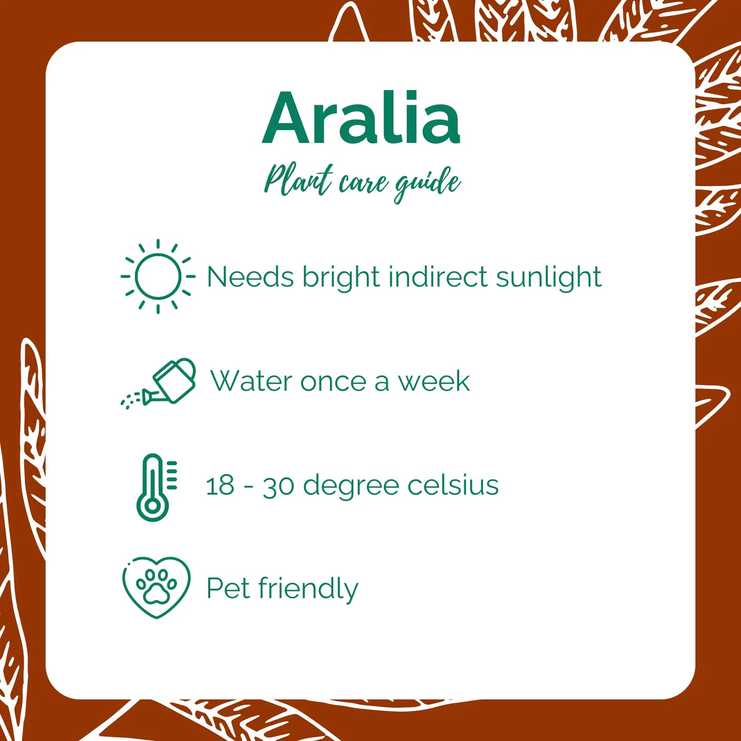 Aralia