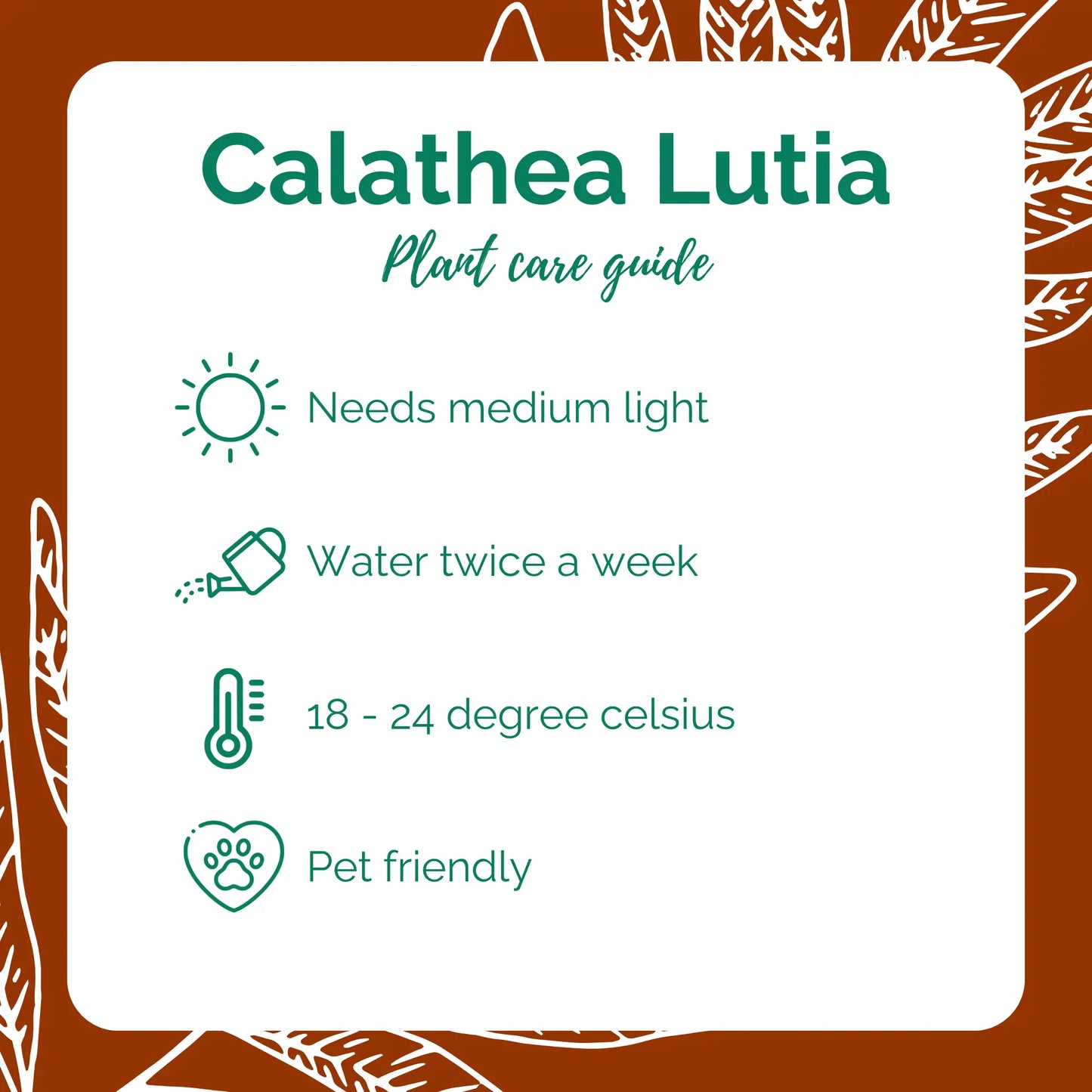 Calathea Lutia