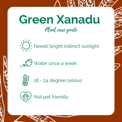 Green Xanadu