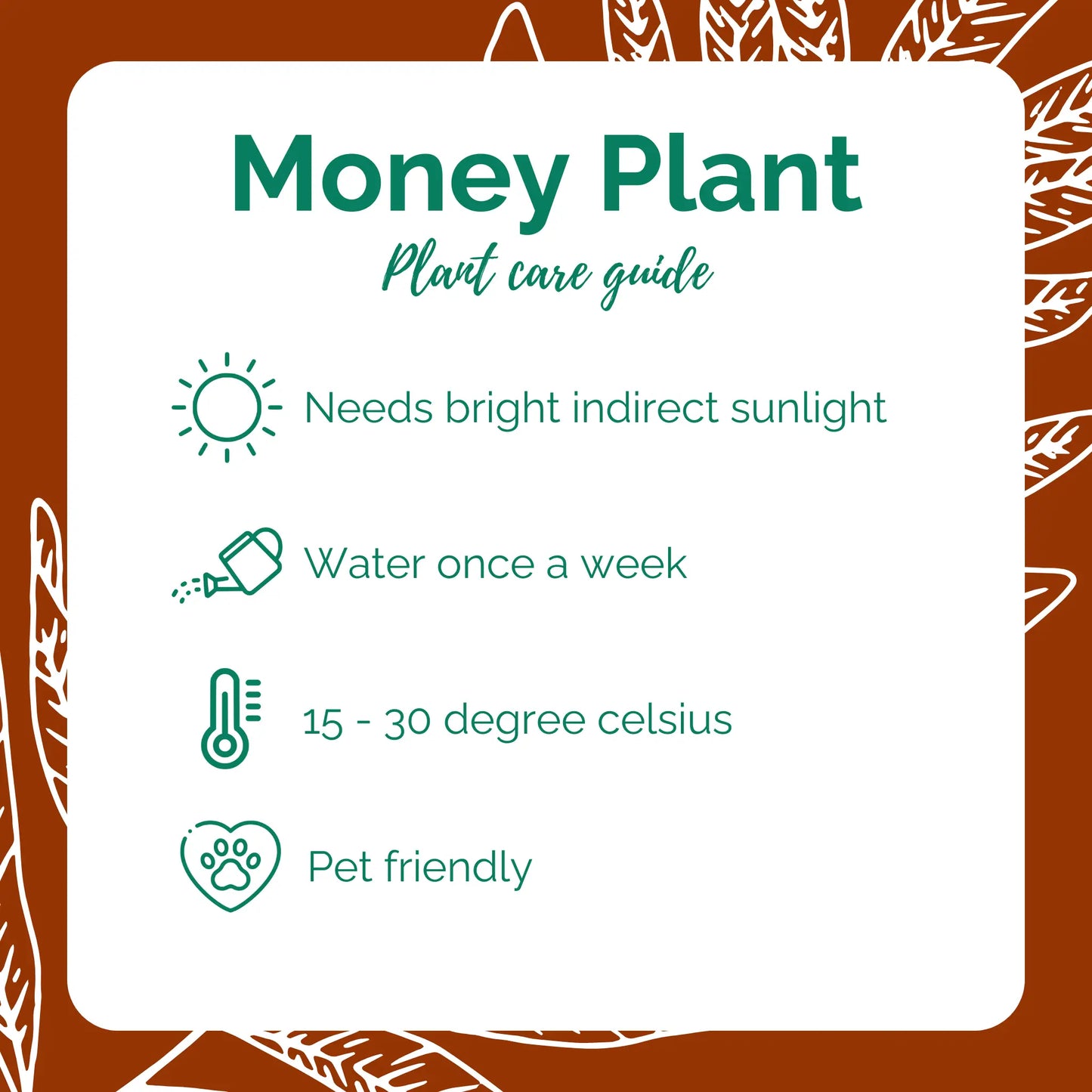 Green Money Plant