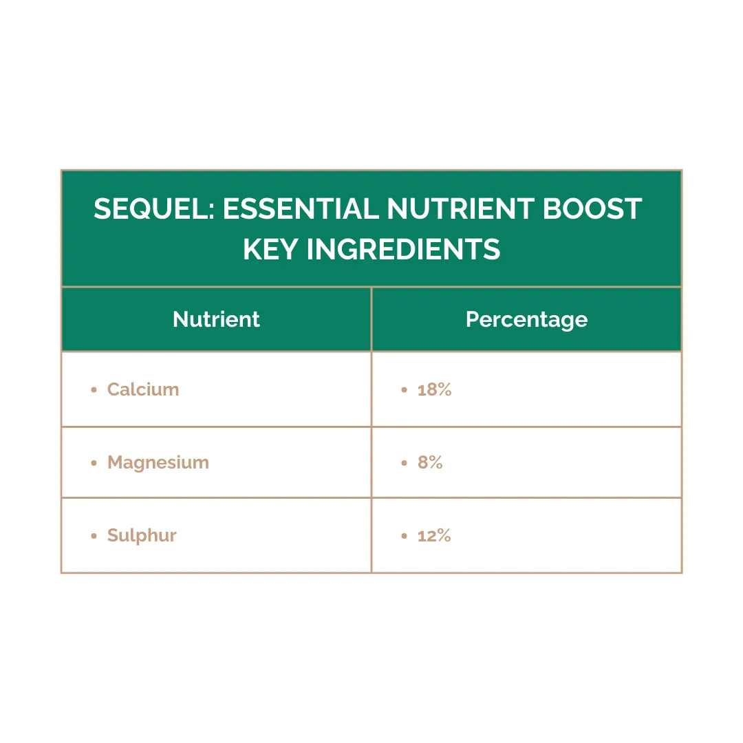 Sequel: Essential Nutrient Boost (500 gms)