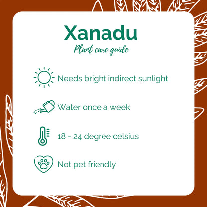 Xanadu